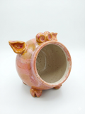 Pig Salt Cellar/Sponge Holder